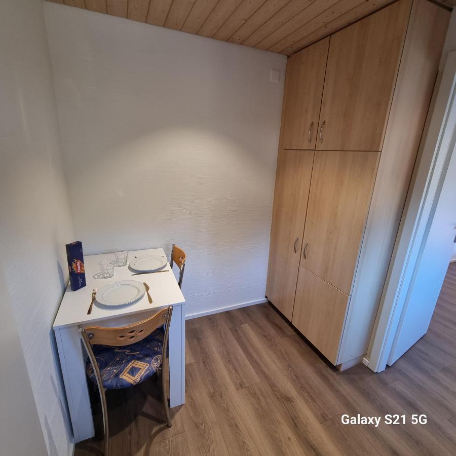 Mountain - Lake Apartment 3 Wilderswil Kültér fotó