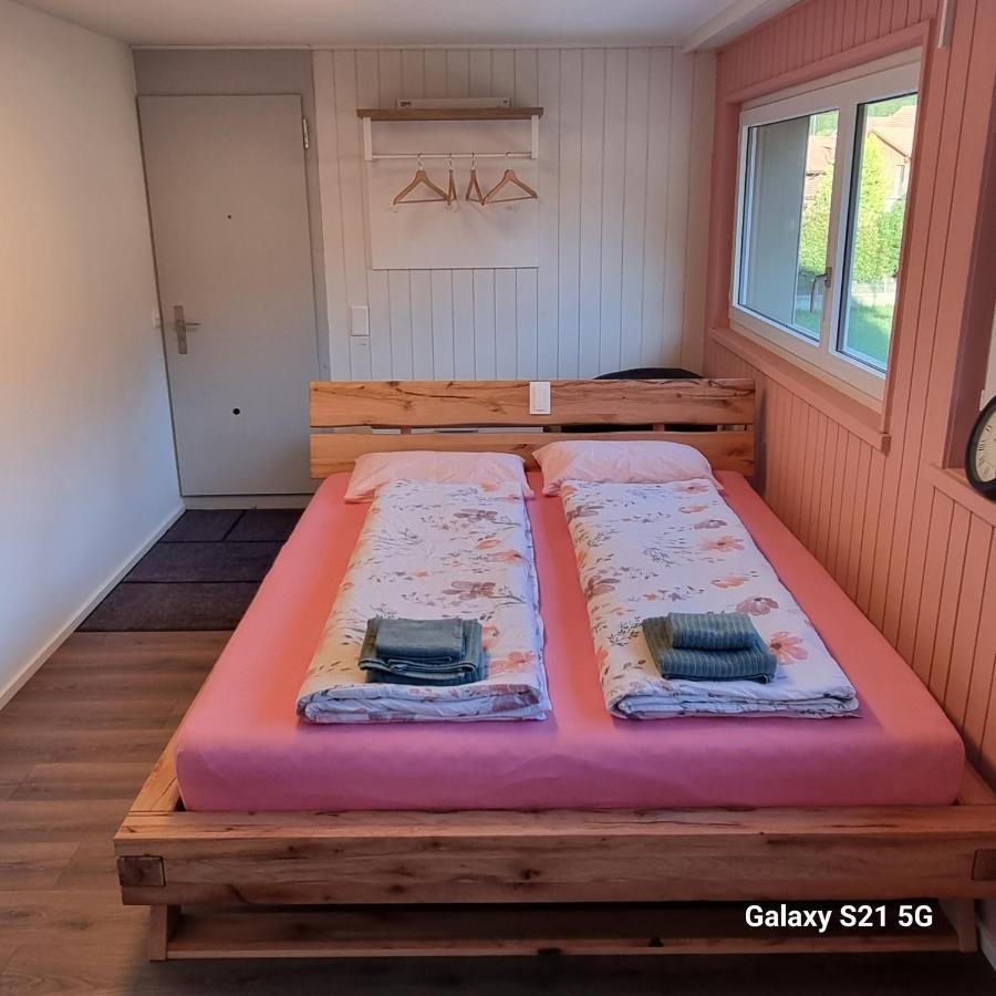 Mountain - Lake Apartment 3 Wilderswil Kültér fotó
